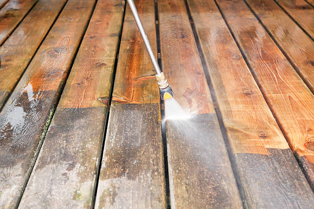 Best Roof Cleaning and Mildew Removal in USA